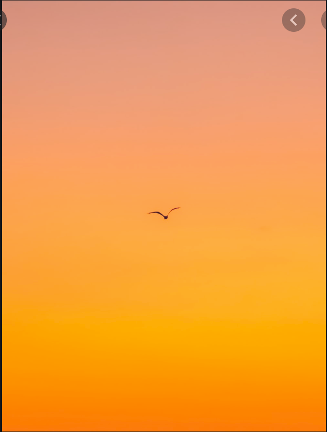 Colours